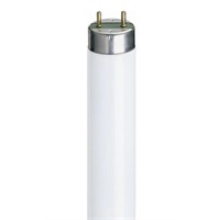 Click here for more details of the 6'x70w Triphosphor T8 FLUORESCENT TUBE