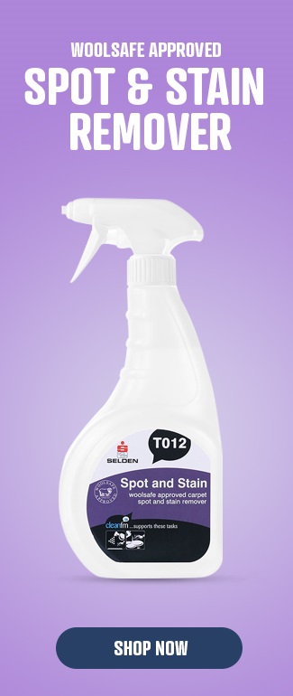 Spot and stain remover