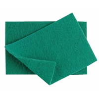 Click here for more details of the Green Medium SCOURER 23x 15cm [50]