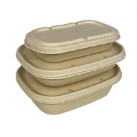 Click here for more details of the BTB 1 BAGASSE CONTAINER 500ML