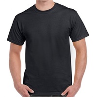 Click here for more details of the Black  Heavy Cotton ADULT T-SHIRT 4xl