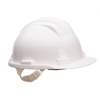 Click here for more details of the White Work Safety HELMET