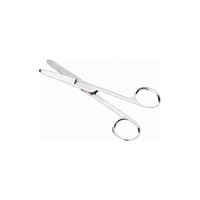 Click here for more details of the Stainless Steel Scissors 12.5cm (5)