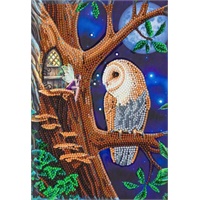 Click here for more details of the Crystal Art Owl and Fairy Tree Notebook CA