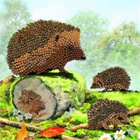 Click here for more details of the Crystal Art Happy Hedgehog 18 x 18cm Card