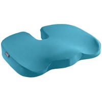 Click here for more details of the Leitz Ergo Cosy Seat Cushion Calm Blue 528