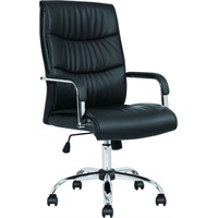 Click here for more details of the Carter Black Luxury Faux Leather Chair Wit