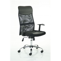 Click here for more details of the Vegalite Executive Mesh Chair With Arms EX