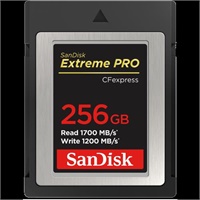 Click here for more details of the SanDisk Extreme PRO 256GB Extreme PRO CFex