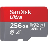 Click here for more details of the SanDisk Ultra 256GB MicroSDXC UHS-I Class