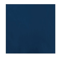 Click here for more details of the Fasana Lunch Napkin Blue x 1500
