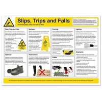 Click here for more details of the Slips, Trips and Falls  Wallchart Poster
