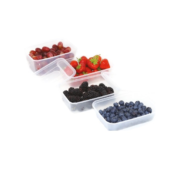 Click for a bigger picture.C650 STANDARD DUTY rect. clear container