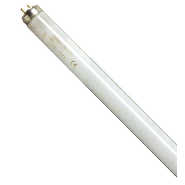 Click for a bigger picture.5'x58w Triphosphor T8 FLUORESCENT TUBE x25
