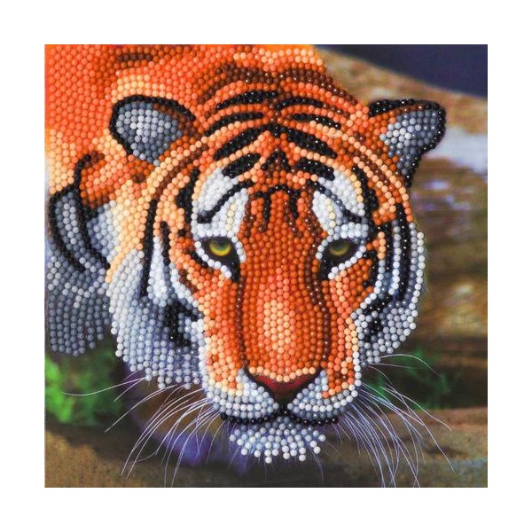 Click for a bigger picture.Crystal Art Tiger 18 x 18cm Card CCK-A40