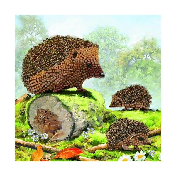 Click for a bigger picture.Crystal Art Happy Hedgehog 18 x 18cm Card